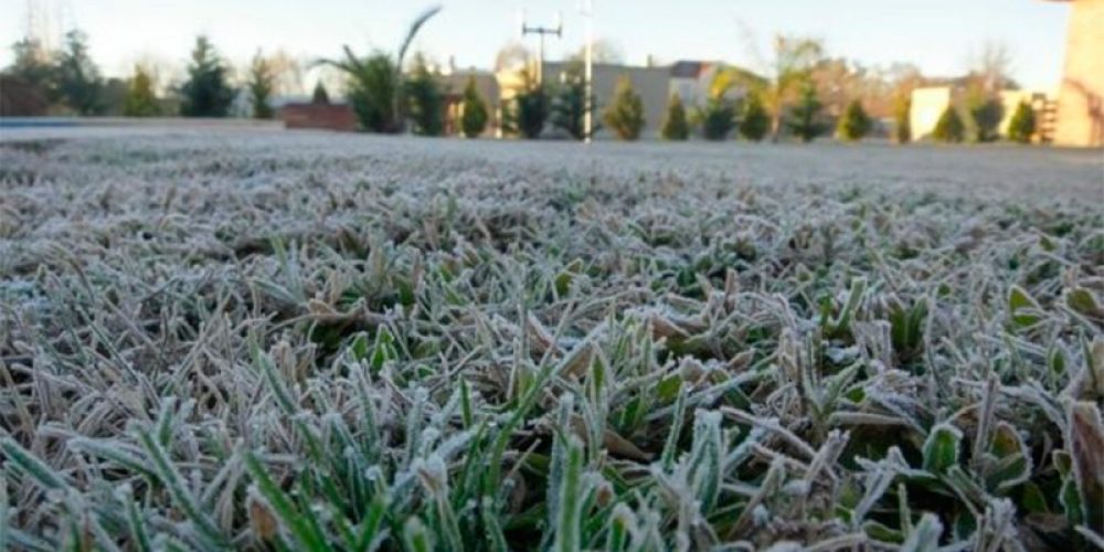 Anuncian llegada de aire polar: prevén fuertes heladas y temperaturas bajo cero