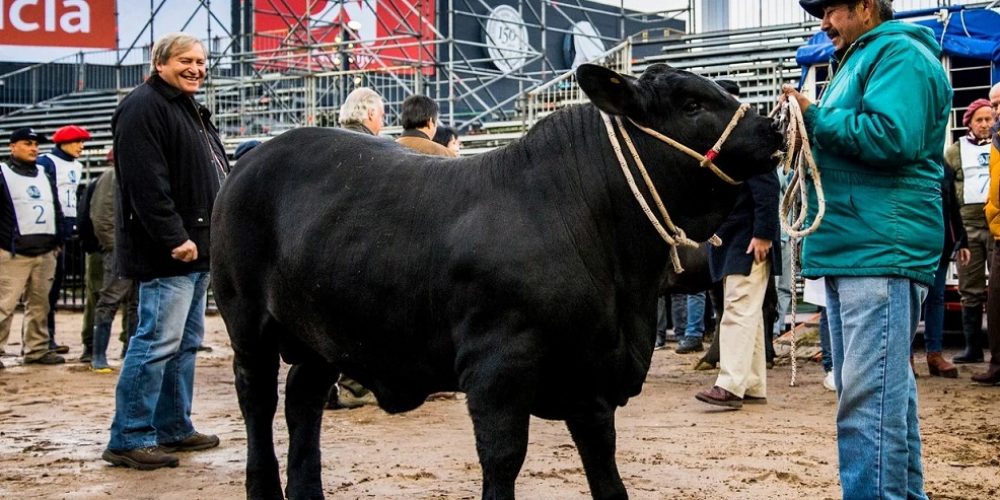 El Intendente Galimberti participará del Acto Inaugural de la 133° Exposición de la Rural