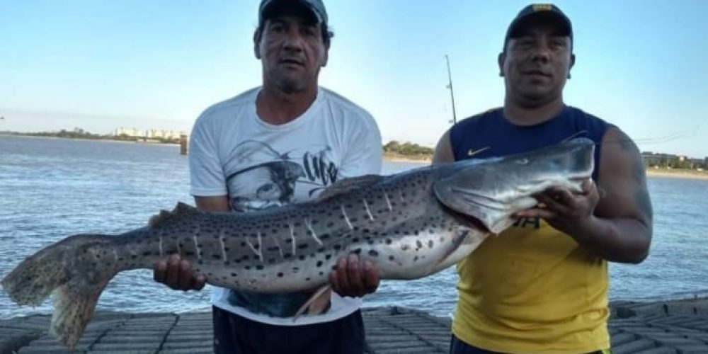 Pescaban en una laguna y se encontraron con un impactante animal