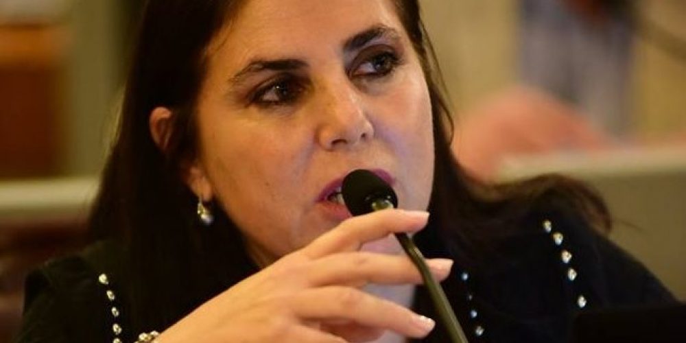 Lena: “El FdT pasa, sin escalas, de plantear un impuesto a la riqueza a meterse con el bolsillo de los más vulnerables”