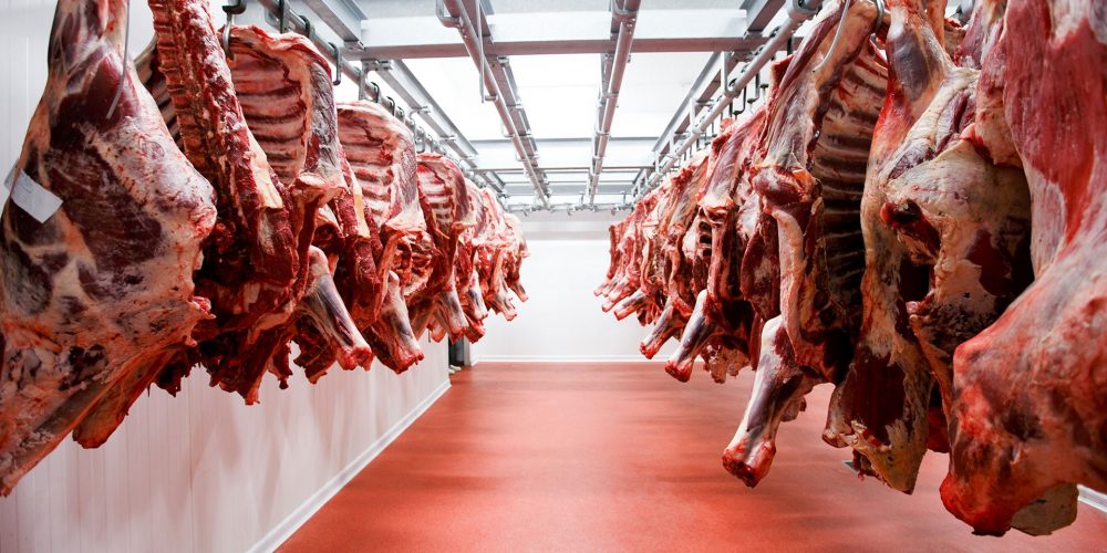 La Cámara de Abastecedores pide coherencia al Gobierno y al campo: “Estamos a punto de quedarnos sin carne”