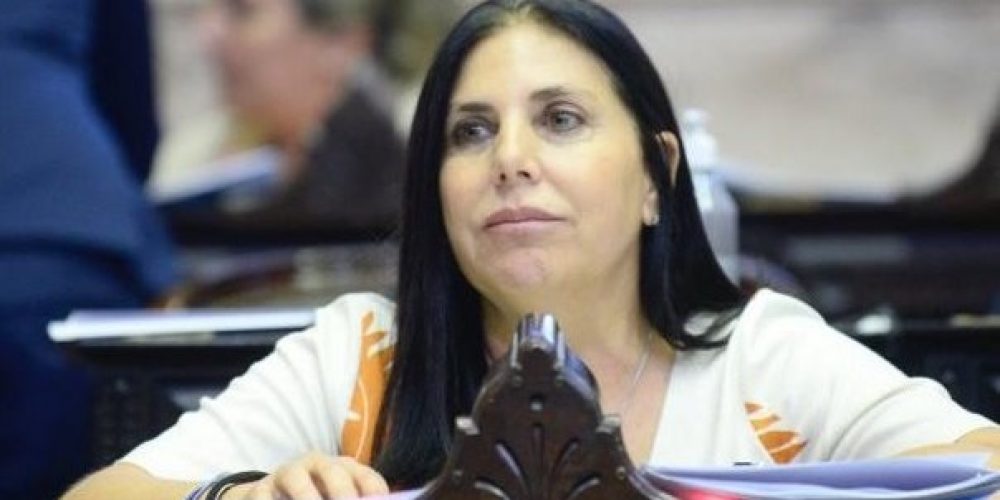 Lena denunció “pases a planta en el Estado sin ningún tipo de control”