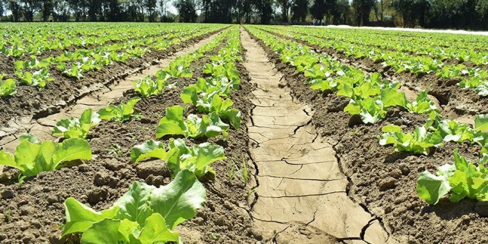 Diputados tratará un proyecto para incentivar la producción agroecológica