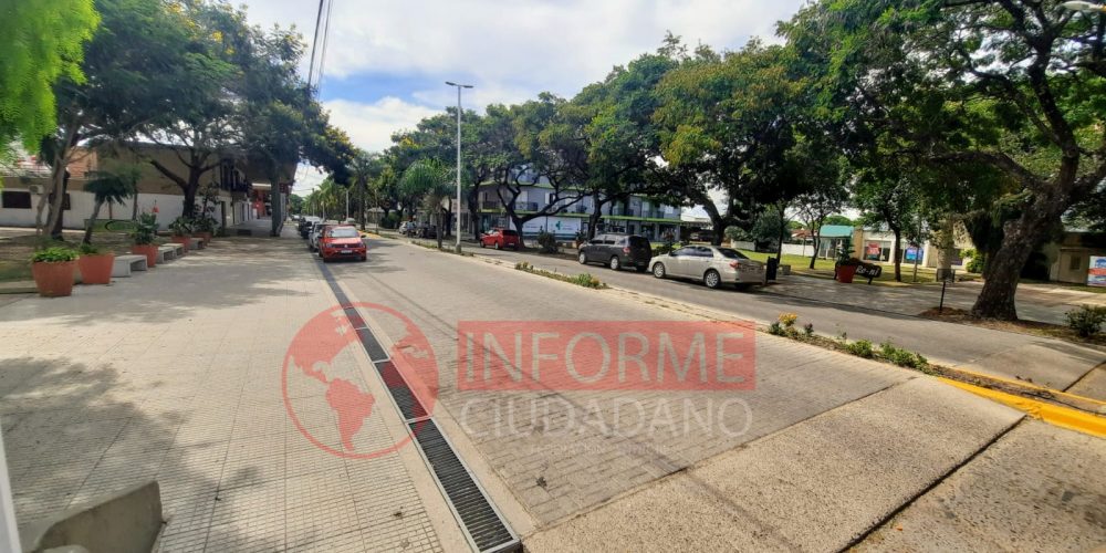 Vecinos llevaron el tema de las golondrinas al Centro de Comercio