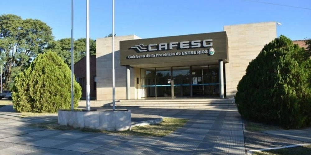 Mozetic y Asueta al Directorio de CAFESG