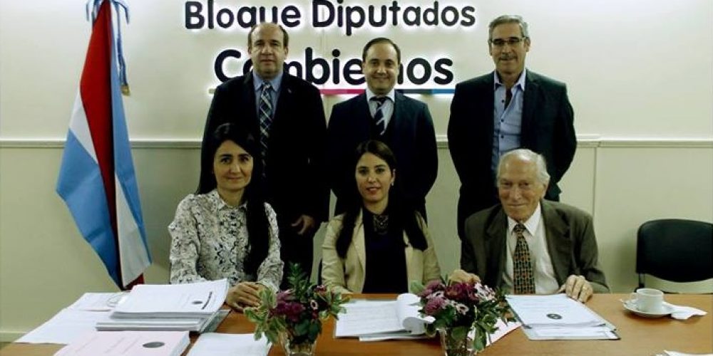 Los integrantes del bloque de diputados provinciales de Cambiemos emitieron hoy un documento en torno a la situación de la salud pública en Entre Ríos