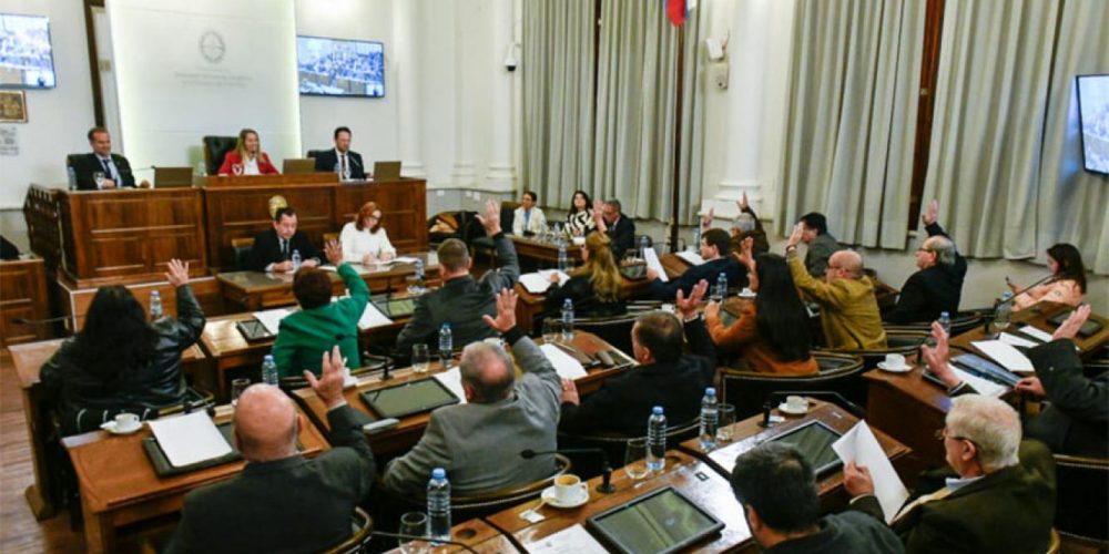 El Senado aprobó el proyecto de Promoción y Protección Integral de la Primera Infancia