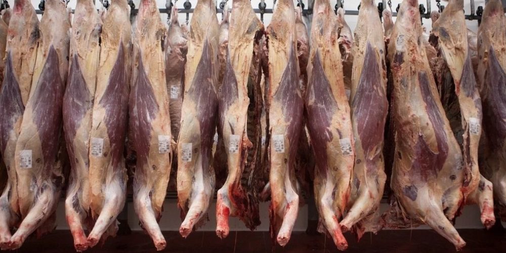 Carne, pescados y frutas podrán exportarse a Europa con arancel cero