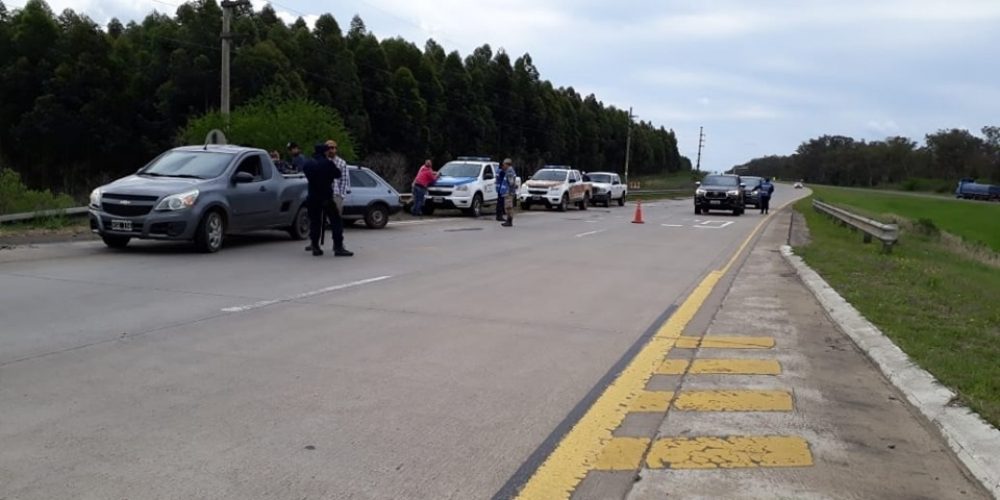 Detuvieron un vehículo que transportaba un animal faenado