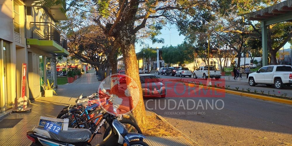 Vecinos propondrán medidas para evitar el arribo de golondrinas en la avenida comercial