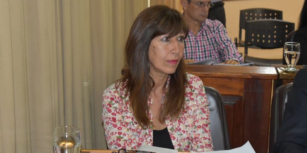 Di Gresia justificó el gasto de 90 mil litros mensuales en combustible