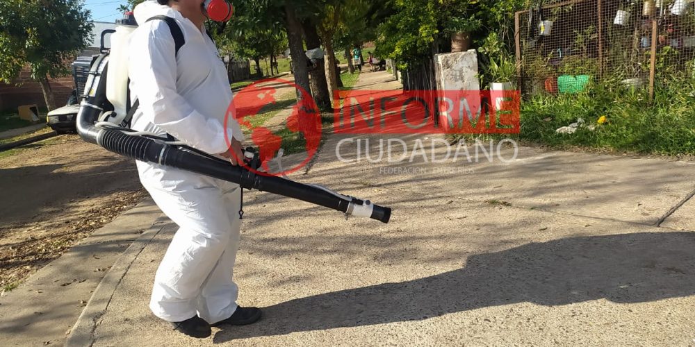 Dengue: fumigación de bloqueo en Barrio Estudiantes