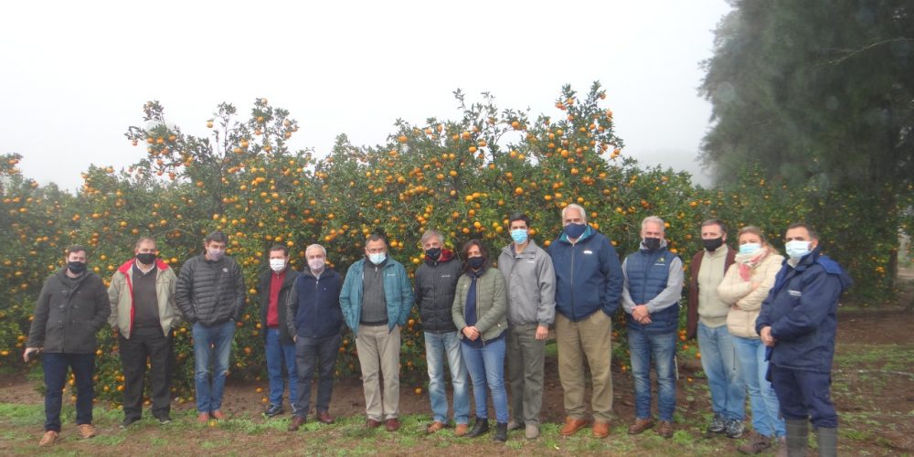 Fuerte respaldo del Senasa al desarrollo productivo de los cítricos y arándanos de la provincia