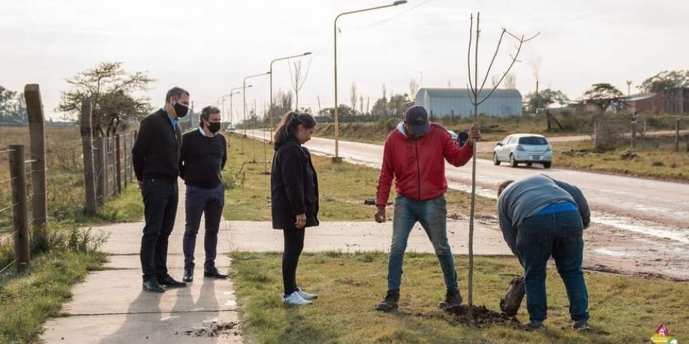 Se realizó el arbolado de la Avda. Enrique Tomas Cresto en el Ex Emplazamiento