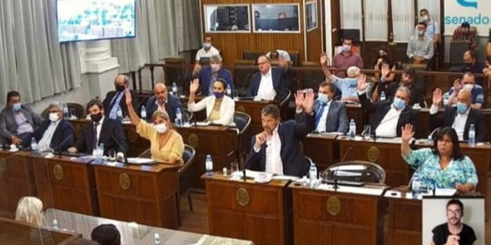 Senadores de Juntos por el cambio explicaron por qué no votaron el Presupuesto 2022