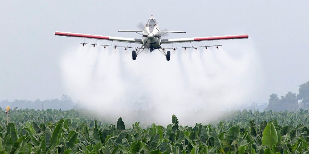 El Gobierno apeló el fallo que restringe las fumigaciones