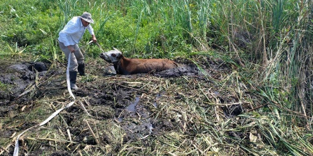 Farer pidió la emergencia agropecuaria para cuatro departamentos entrerrianos