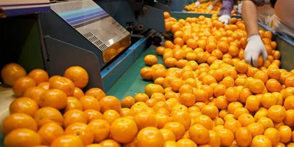 La Federación del Citrus se entrevistará con Pichetto