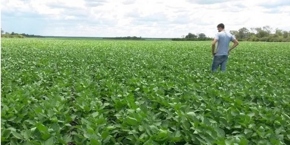 El Censo Nacional Agropecuario marca que hay alrededor de 80 mil productores menos que hace 16 años