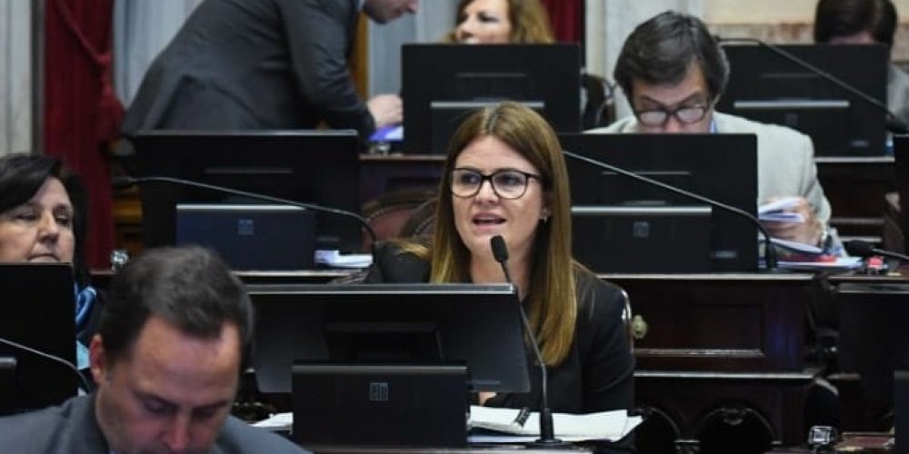 Luz verde del Senado a un proyecto para que quiten las armas a los efectivos denunciados por violencia de género