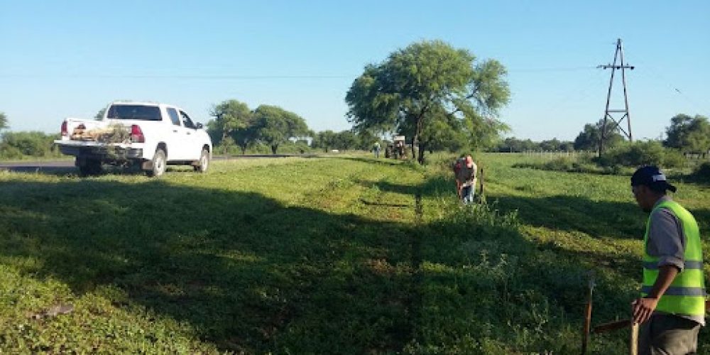 Diputados trató en comisión el proyecto de ley de forestación de los márgenes de las rutas provinciales