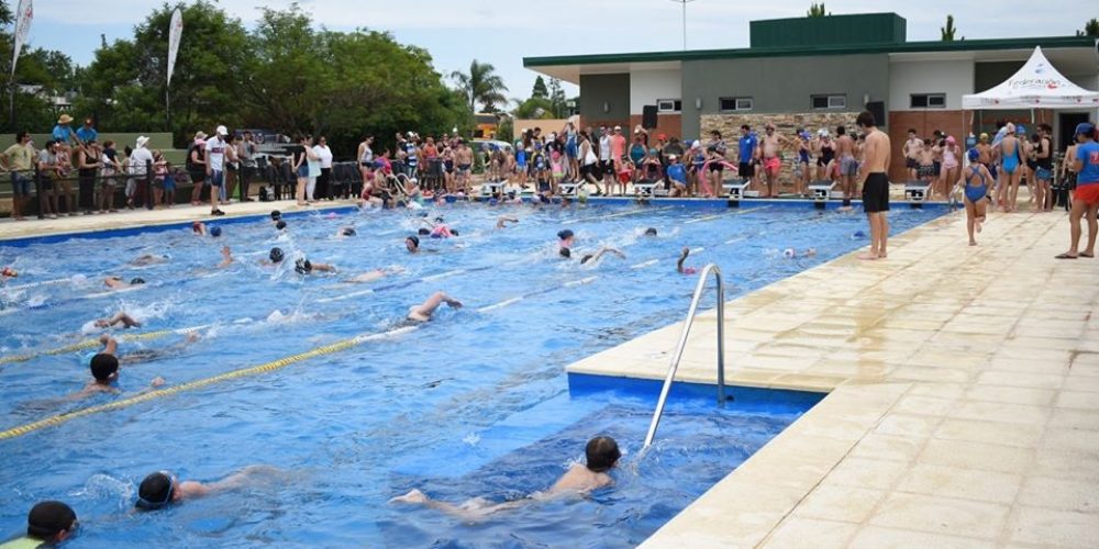 Pileta Semiolimpica: ¿Qué dice el texto de la ordenanza?