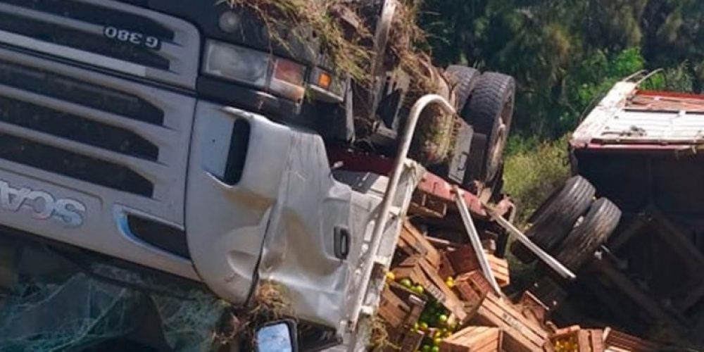 Un camión cargado con cítricos volcó en la Autovía 14 tras reventar un neumático