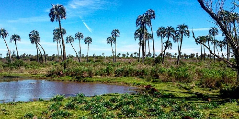 Entre Ríos ofrece diversas opciones turísticas para estas vacaciones de invierno