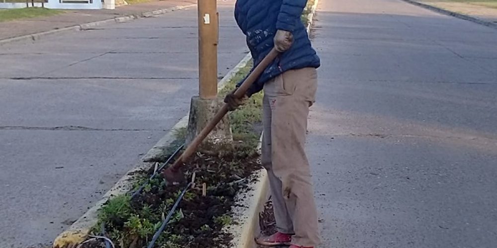 Flores para Avenida principal de Federación