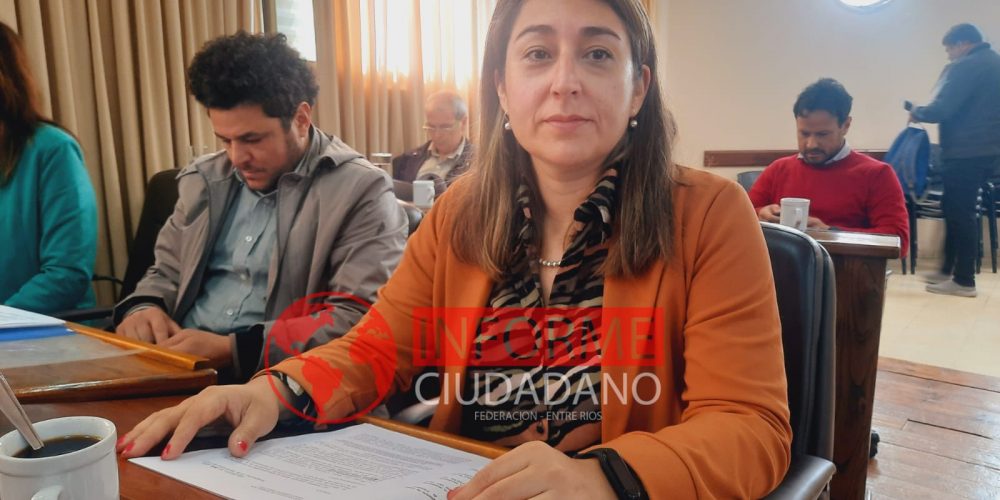 Tinte: “La rendición de la venta quedó estipulado en la ordenanza y hay que cumplirla”