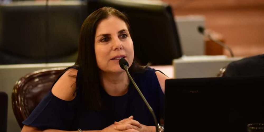 Lena: “no debemos recurrir a estrategias que fracasaron”