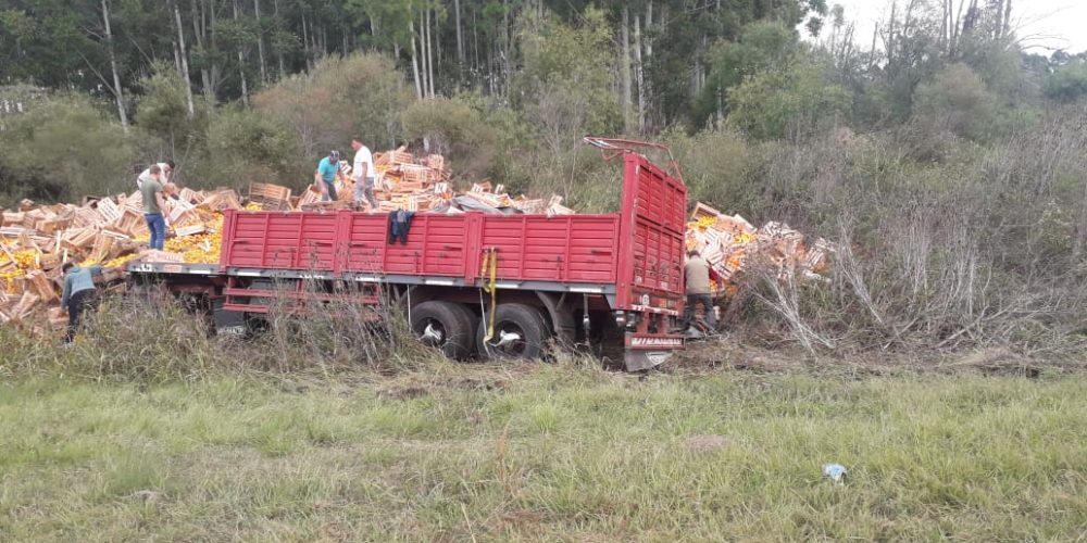 Volcó un camión en ruta 14 y gente se llevó cítricos