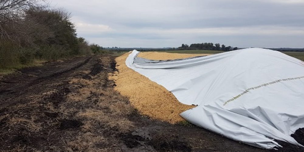 Presentaron proyecto de declaración en repudio a los ataques contra el campo