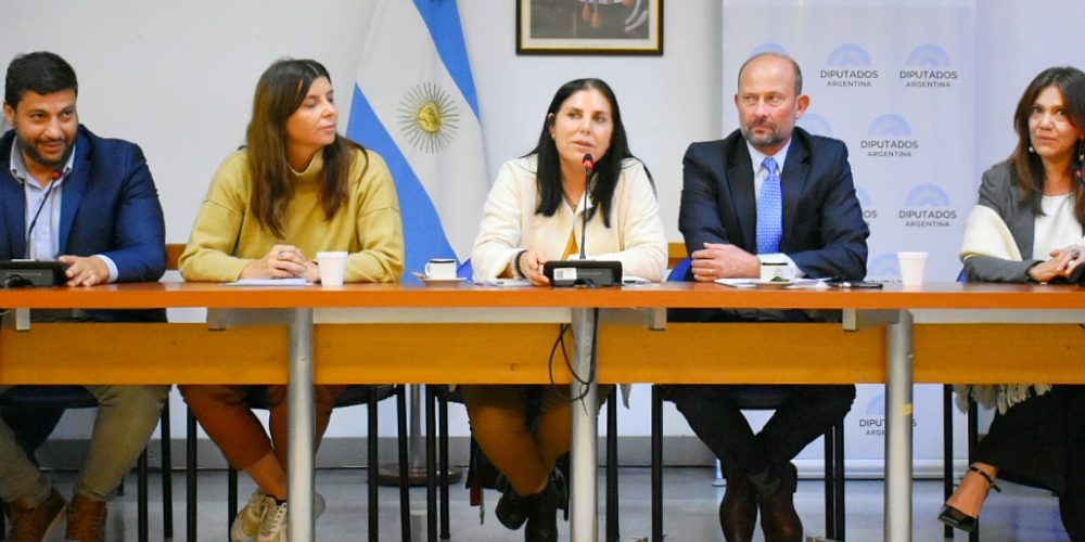 Lena reasumió la presidencia de la Comisión de Comercio