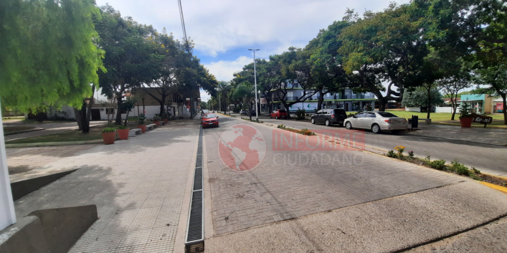 Concejales solicitan la limpieza diaria de las veredas afectadas por los residuos de las aves